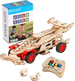 MCRADY Wooden Remote Control F1 Car Kit